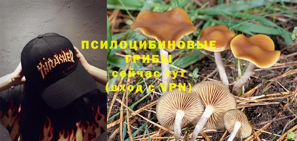 амфетамин Алексеевка