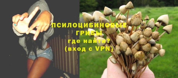мяу мяу мука Алзамай